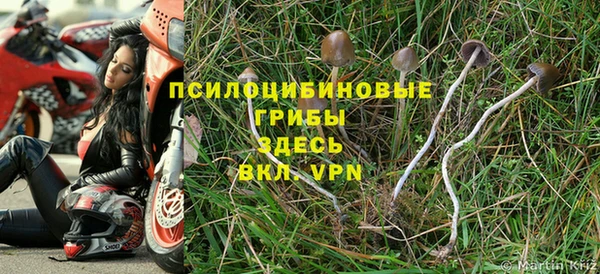 экстази Алексеевка