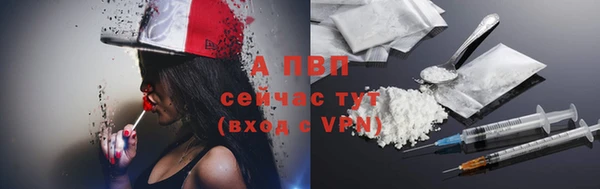 гашик Алексин