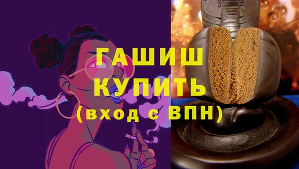 гашик Алексин